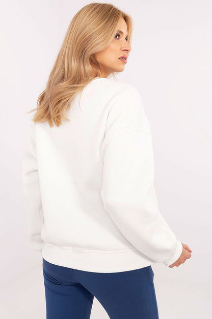  Sweatshirt model 204414 Factory Price 