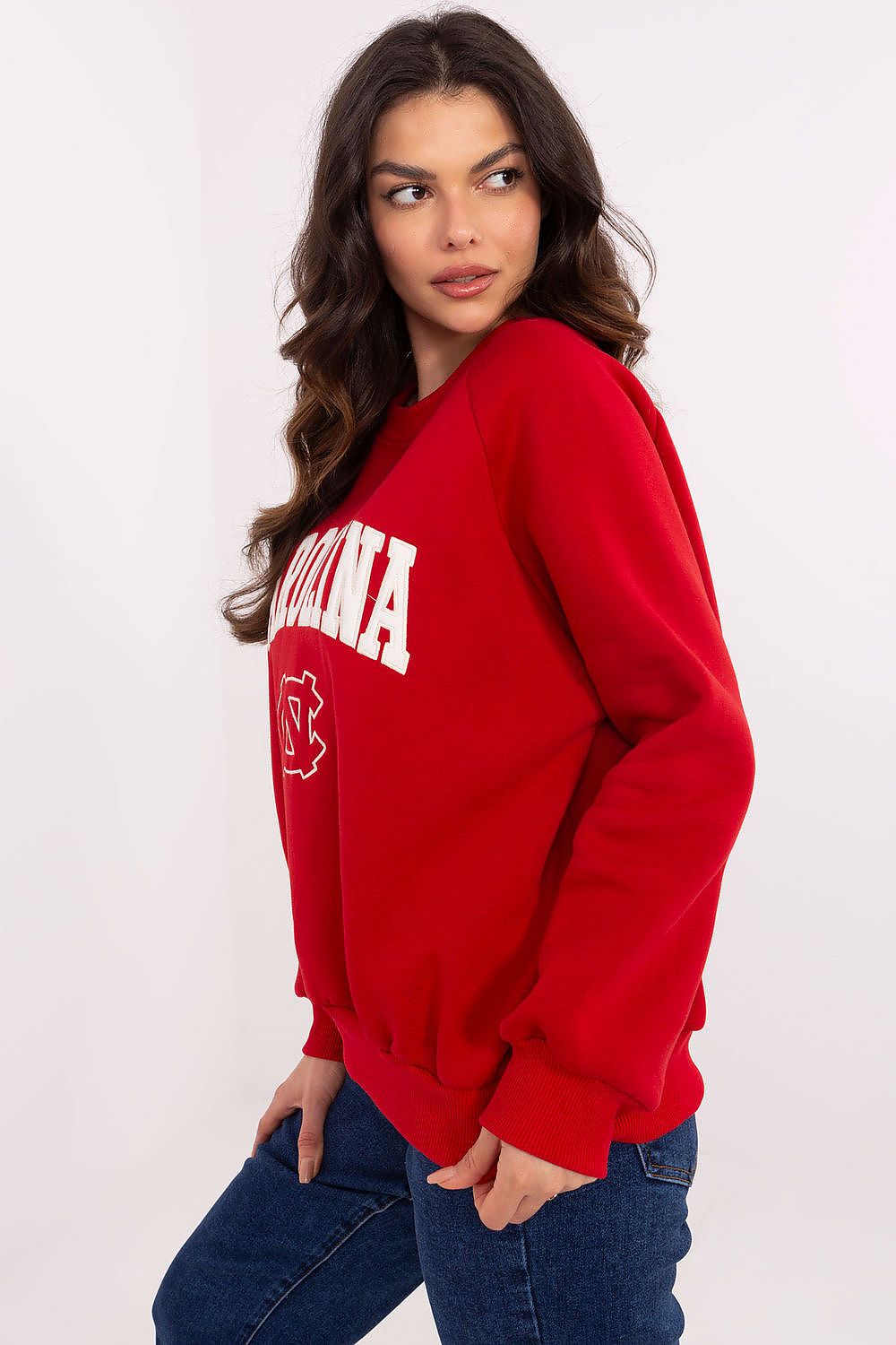  Sweatshirt model 206360 Factory Price 