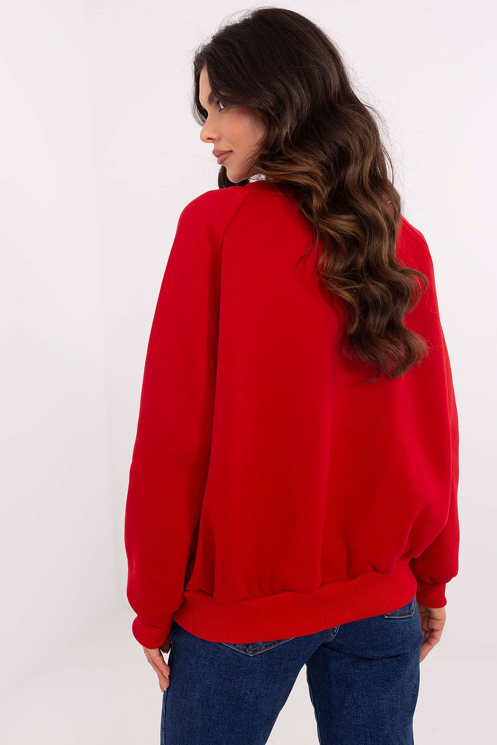  Sweatshirt model 206360 Factory Price 